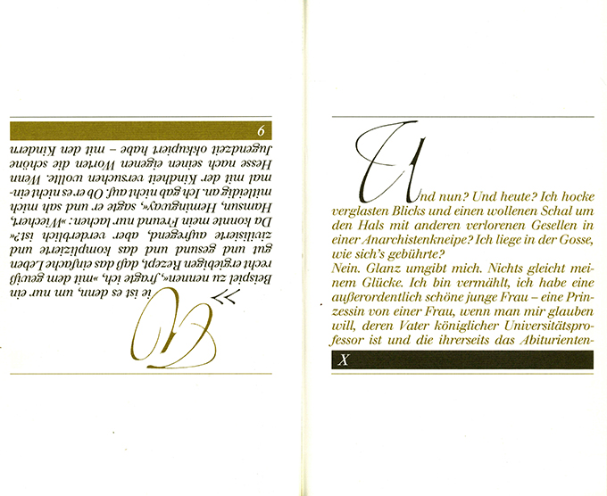 Mann, Th., Im Spiegel + Fr. Luft, Die Literatur