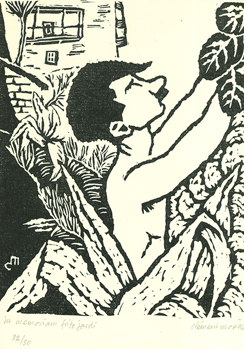 Fontana Martina 1976