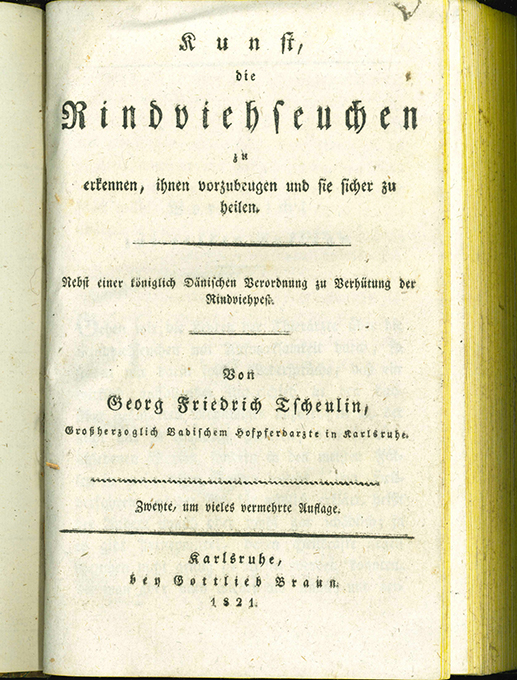 Tscheulin, Kunst die Rindviehseuchen zu erkennen