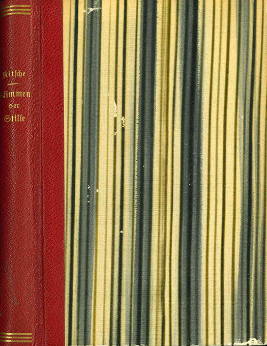 Nitsche, Stimmen der Stille