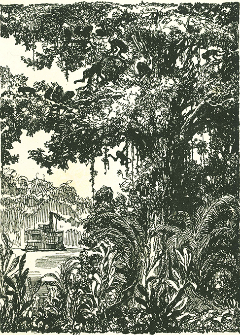 Bürger, Aus den Jagdgründen 1928